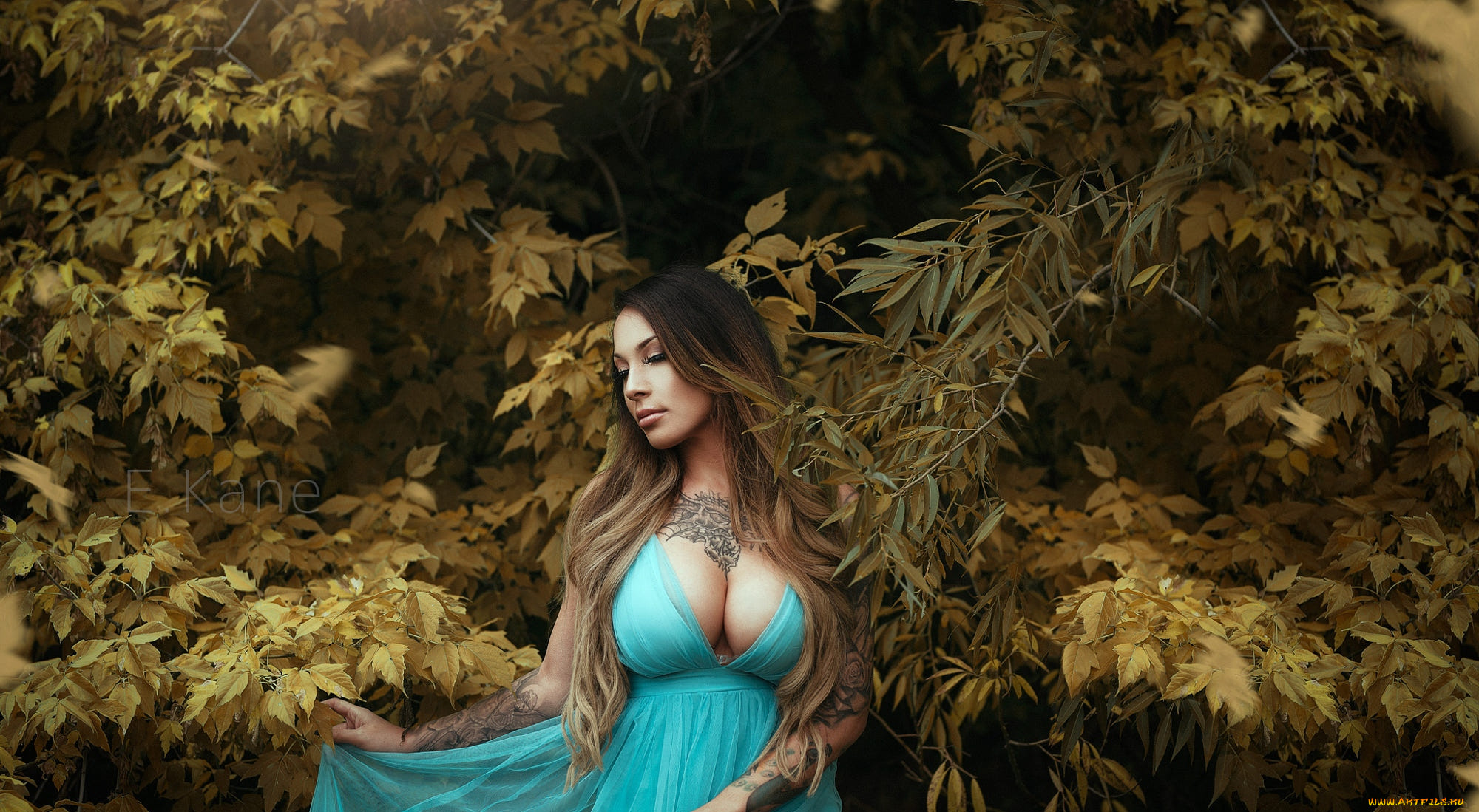 , - ,  , 